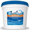 Water Techniques MULTISHOCK GRANULE PAIL 25LB F135025025PC